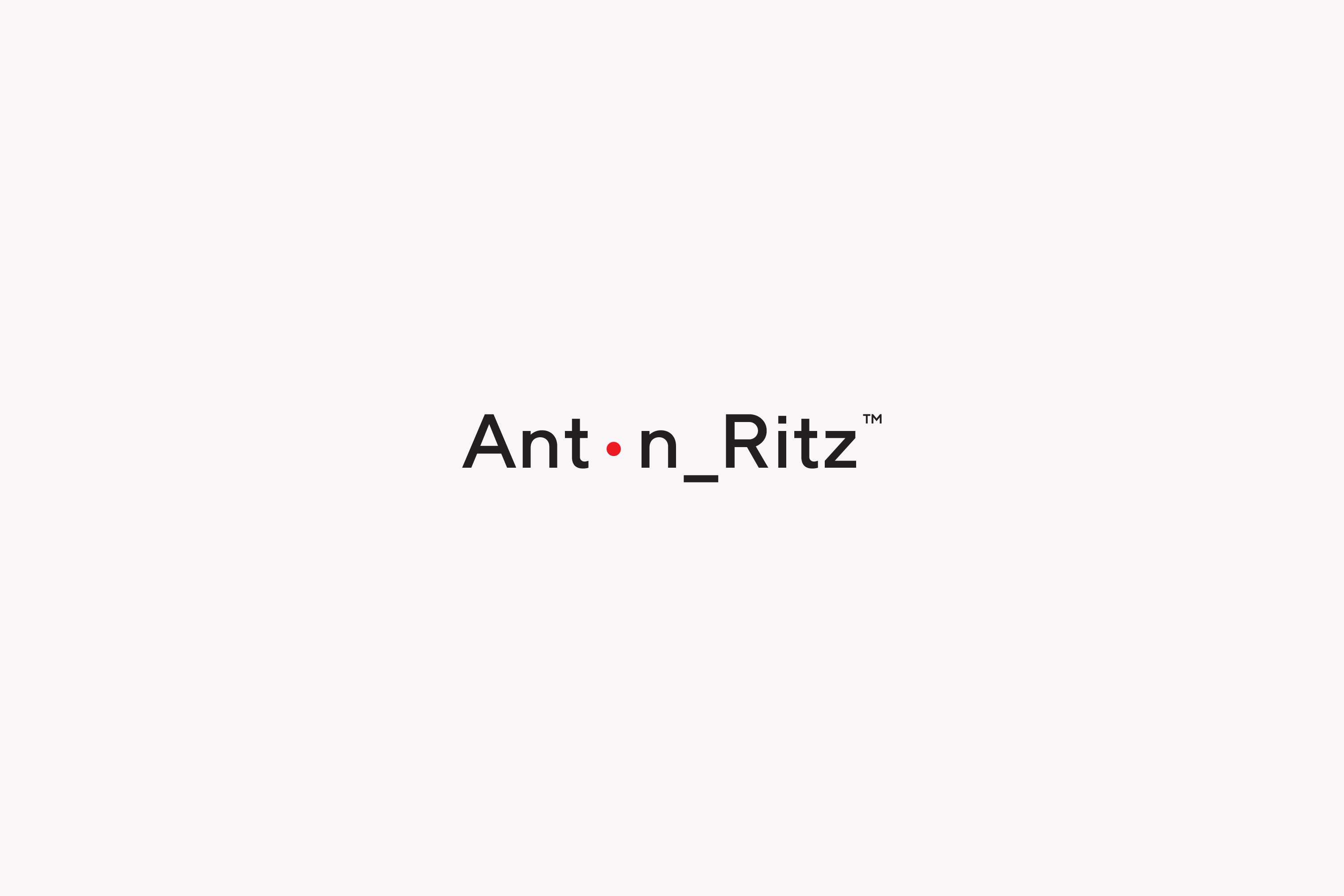 Anton Ritz